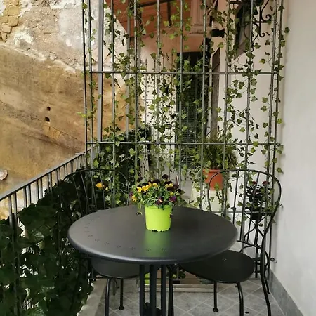 Museumhome Guest house *