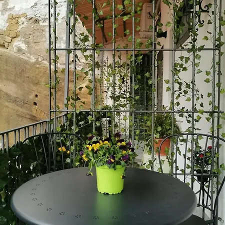 Museumhome